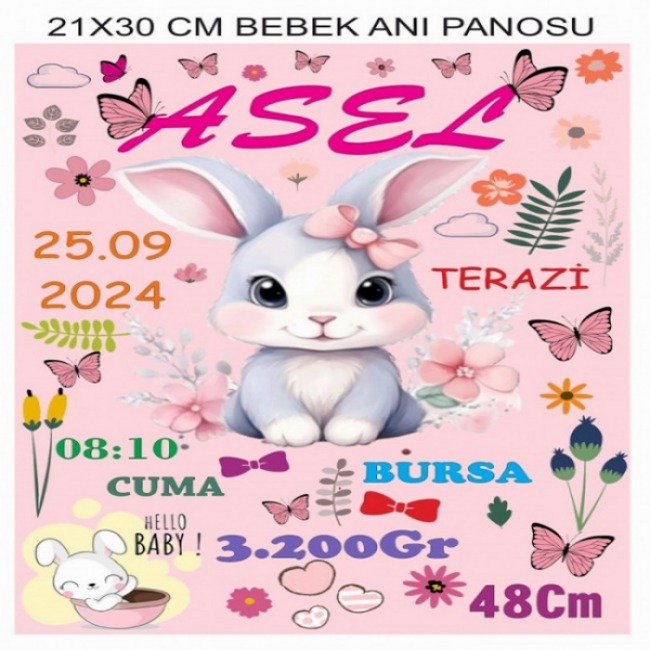 Text